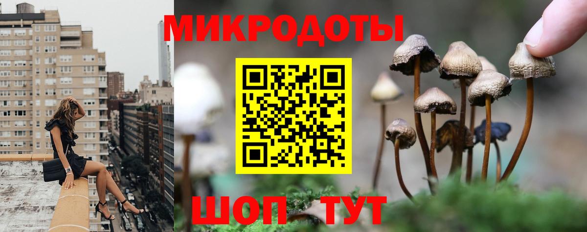 Черемхово  Галлюциногенные грибы GOLDEN TEACHER  Вход с VPN 